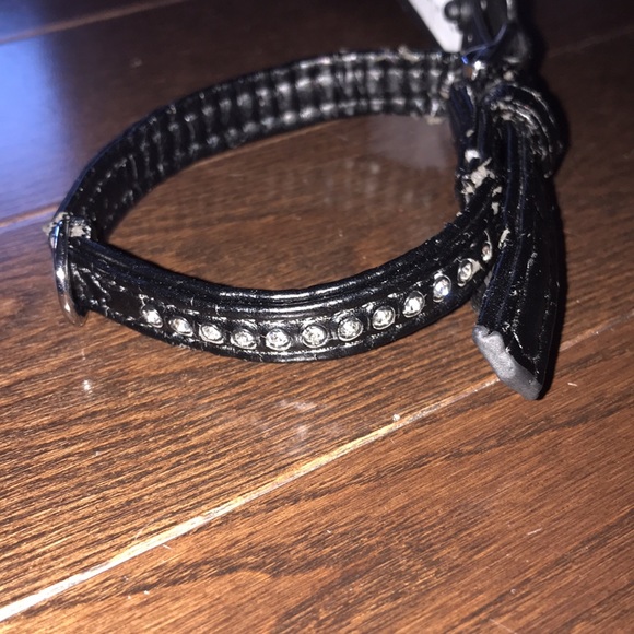 Dog collar for sale! - Picture 1 of 6
